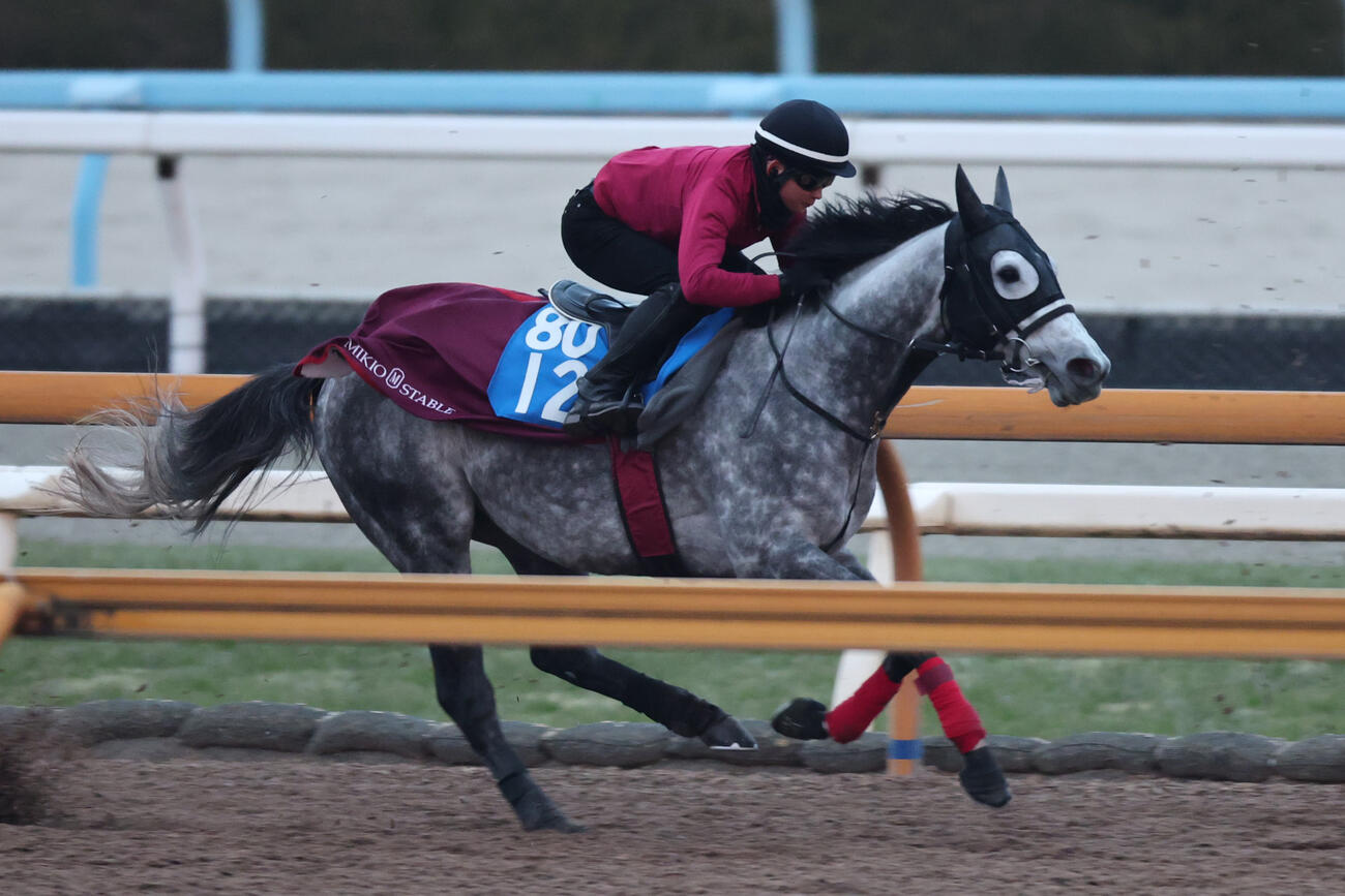 ヤマニンブークリエ（2026年1月撮影）