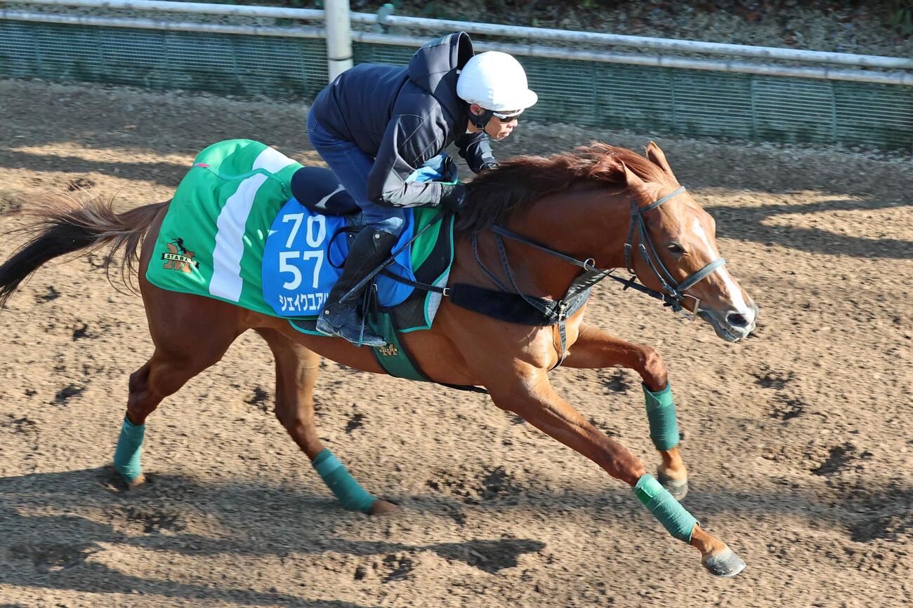 11日、古川吉洋騎手が騎乗し、坂で好時計をマークしたシェイクユアハート