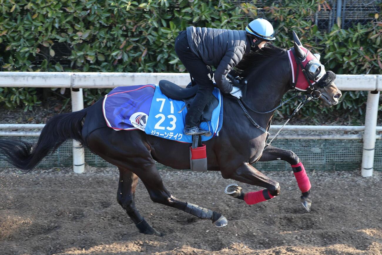 パワフルな動きで坂路を駆け上がるジューンテイク