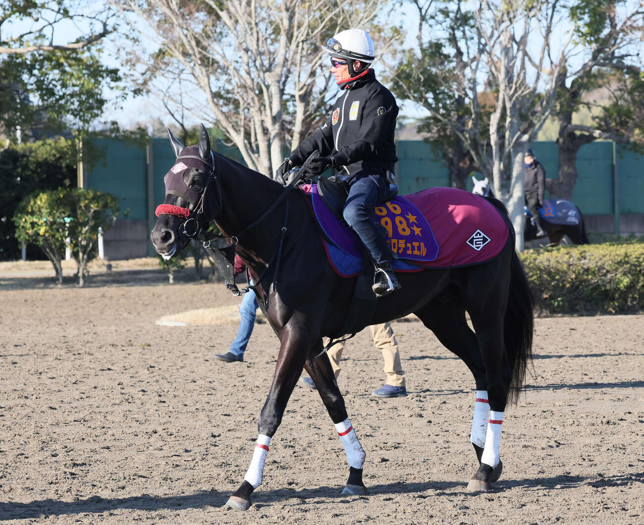 馬場へ向かうエコロデュエルと草野騎手（撮影・丹羽敏通）