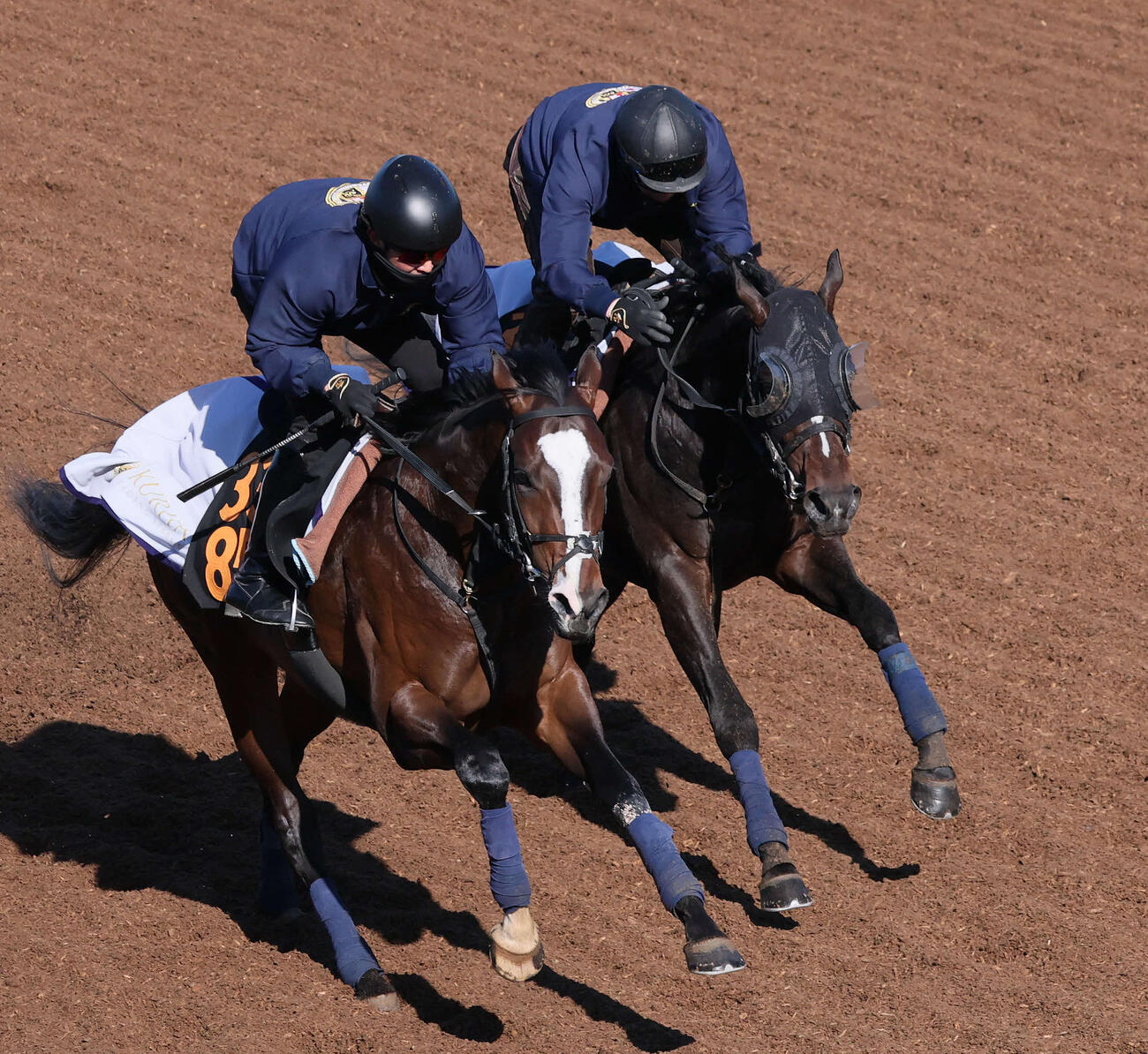 11日、クレパスキュラー（右）は美浦坂路でタイセイモノリスと併せて追い切られた