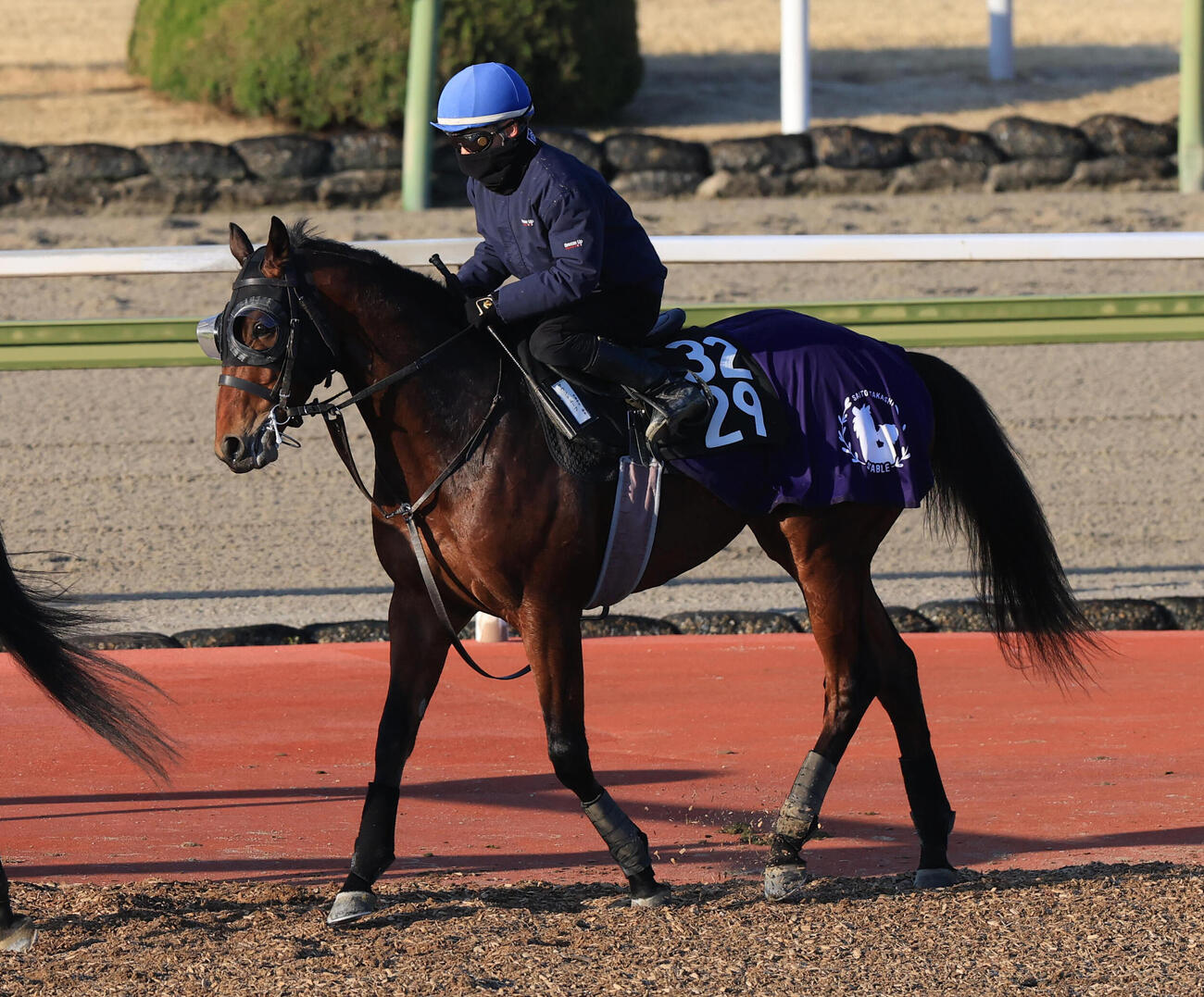 CWコースに馬場入りするサウンドムーブ