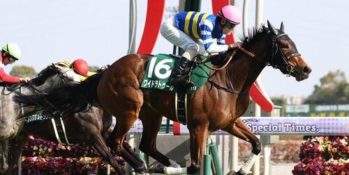 愛知杯を制したワイドラトゥール＝2025年3月23日