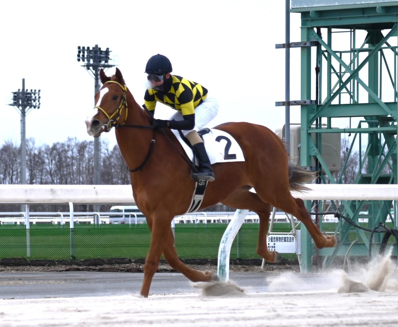 能検で1番時計をマークしたクライングコール（ホッカイドウ競馬提供）
