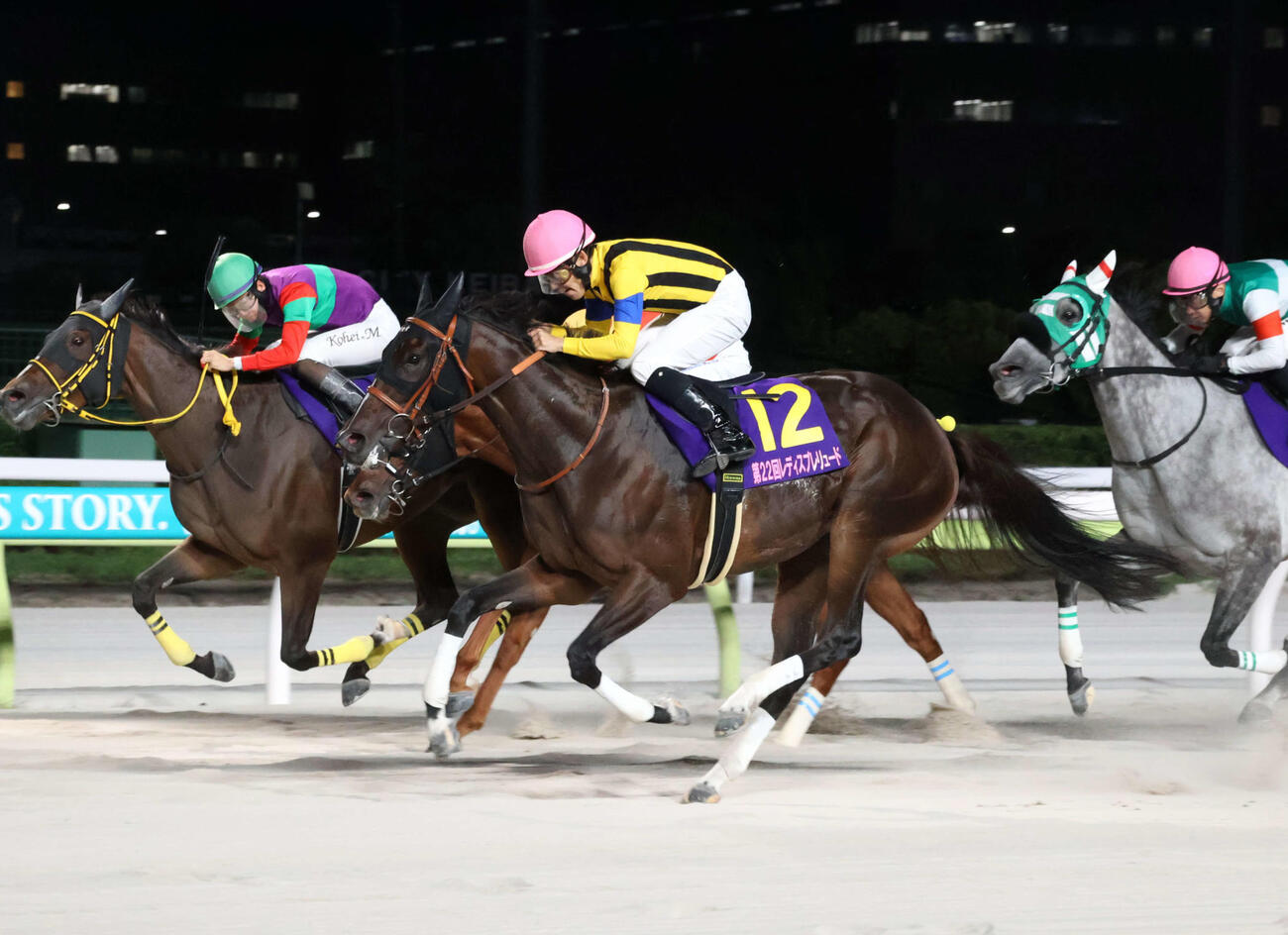レディスプレリュードを制したビヨンドザヴァレーと菱田裕二騎手（手前）(2025年10月撮影)