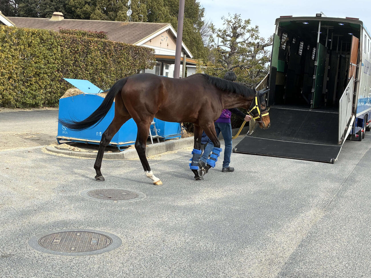 馬運車に乗り込むテーオーロイヤル（撮影・明神理浩）