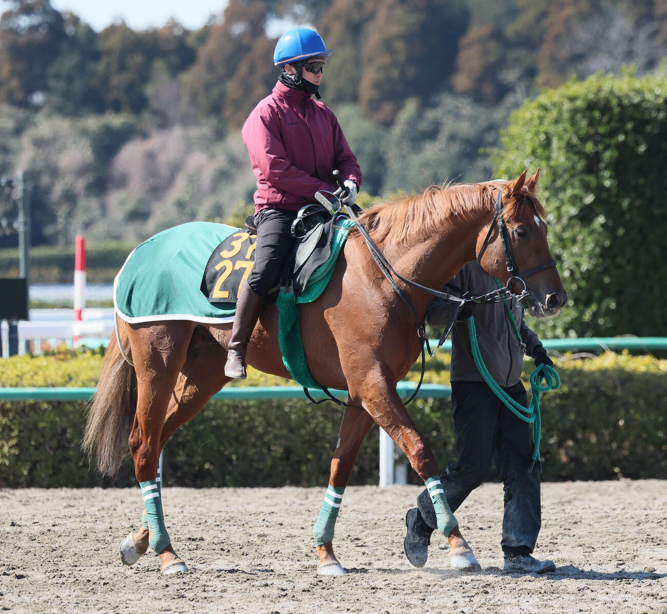 11日、追い切りを終えて馬場を出るラストスマイルと杉原騎手