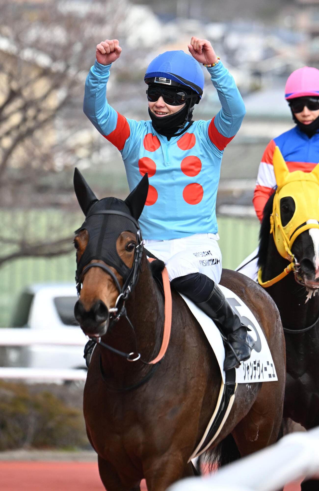 1R3歳未勝利　シャンデヴィーニュで勝利しガッツポーズする西村淳也騎手（撮影・和賀正仁）
