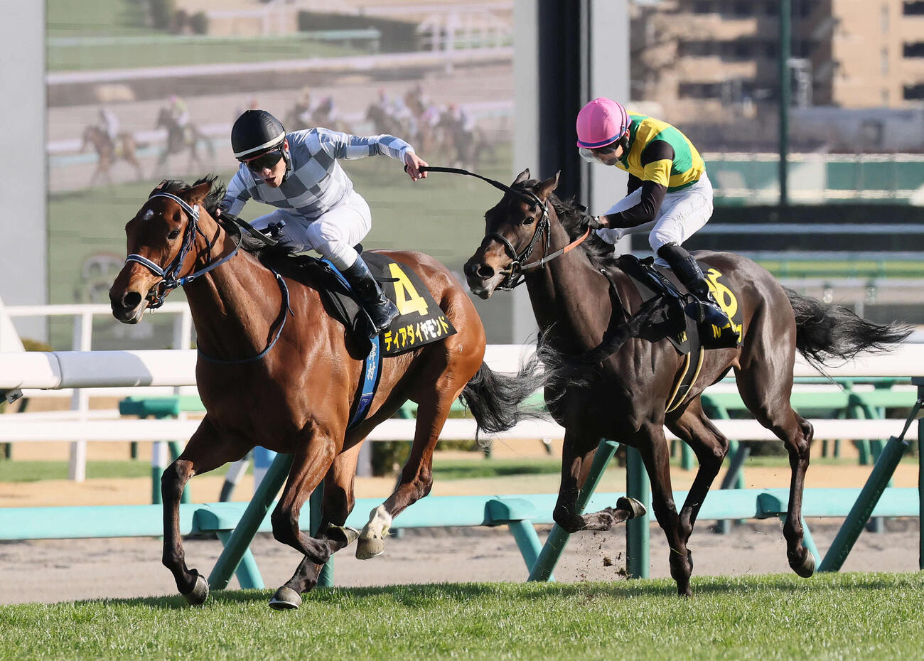 中山11R、アネモネSを制したディアダイヤモンドと津村騎手（左）。右は2着ルールザウェイヴ（撮影・丹羽敏通）