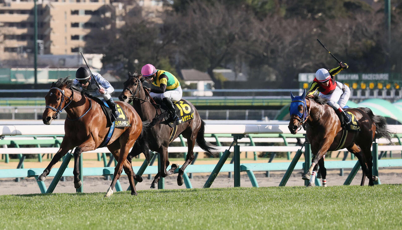 中山11R、アネモネSを制したディアダイヤモンドと津村騎手（左）。右へ2着ルールザウェイヴ、3着バルボアパーク（撮影・丹羽敏通）