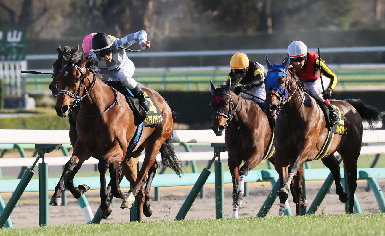 中山11R、アネモネSを制したディアダイヤモンドと津村騎手（左）。右は3着バルボアパーク（撮影・丹羽敏通）