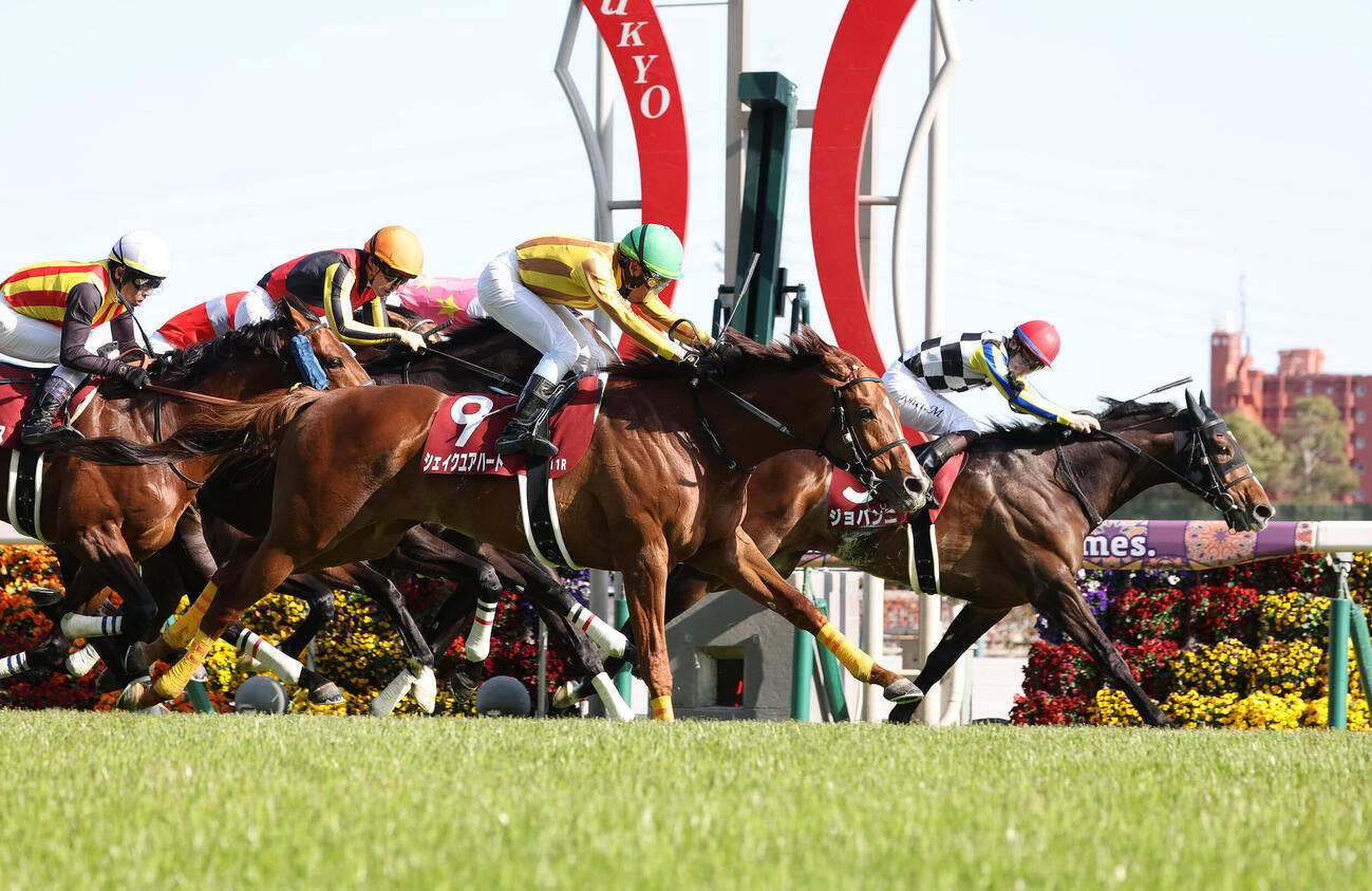 中京11R、ゴール前でジョバンニ（右）を差し切って金鯱賞を制したシェイクユアハート（撮影・白石智彦）