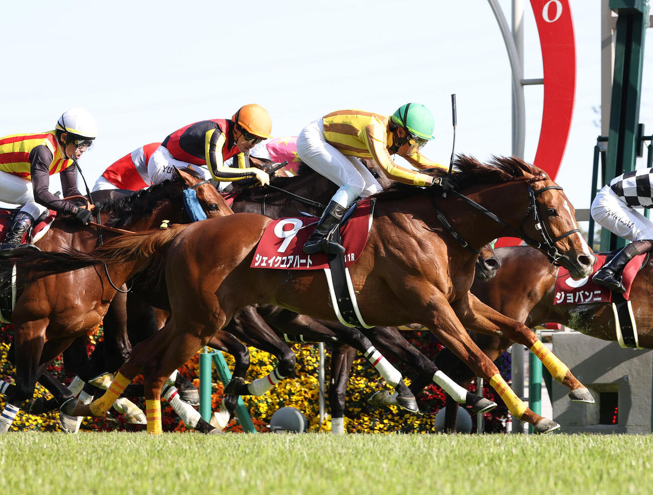 中京11R、ゴール前でジョバンニを差し切って金鯱賞を制したシェイクユアハート（撮影・白石智彦）