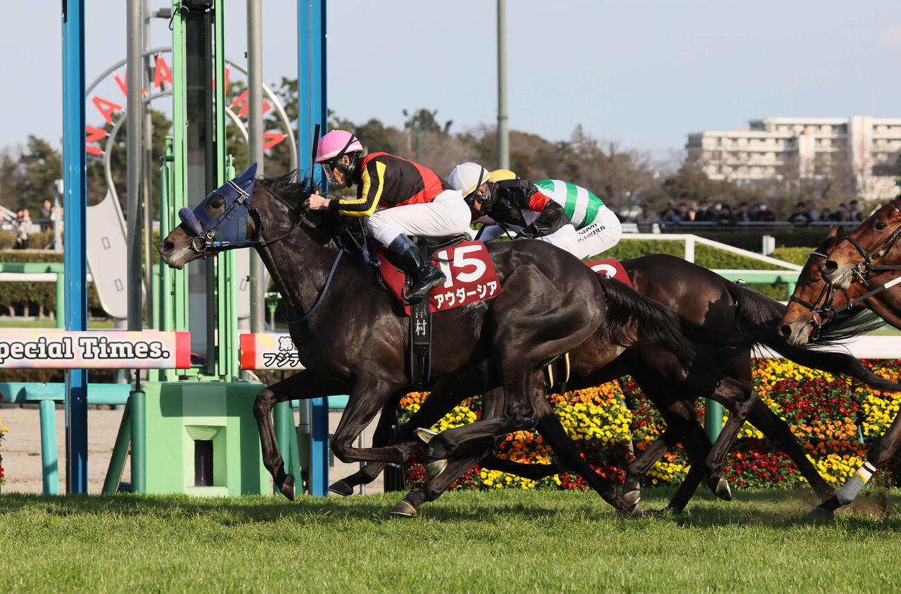 中山11R、スプリングSに勝利したアウダーシアと津村騎手（撮影・丹羽敏通）