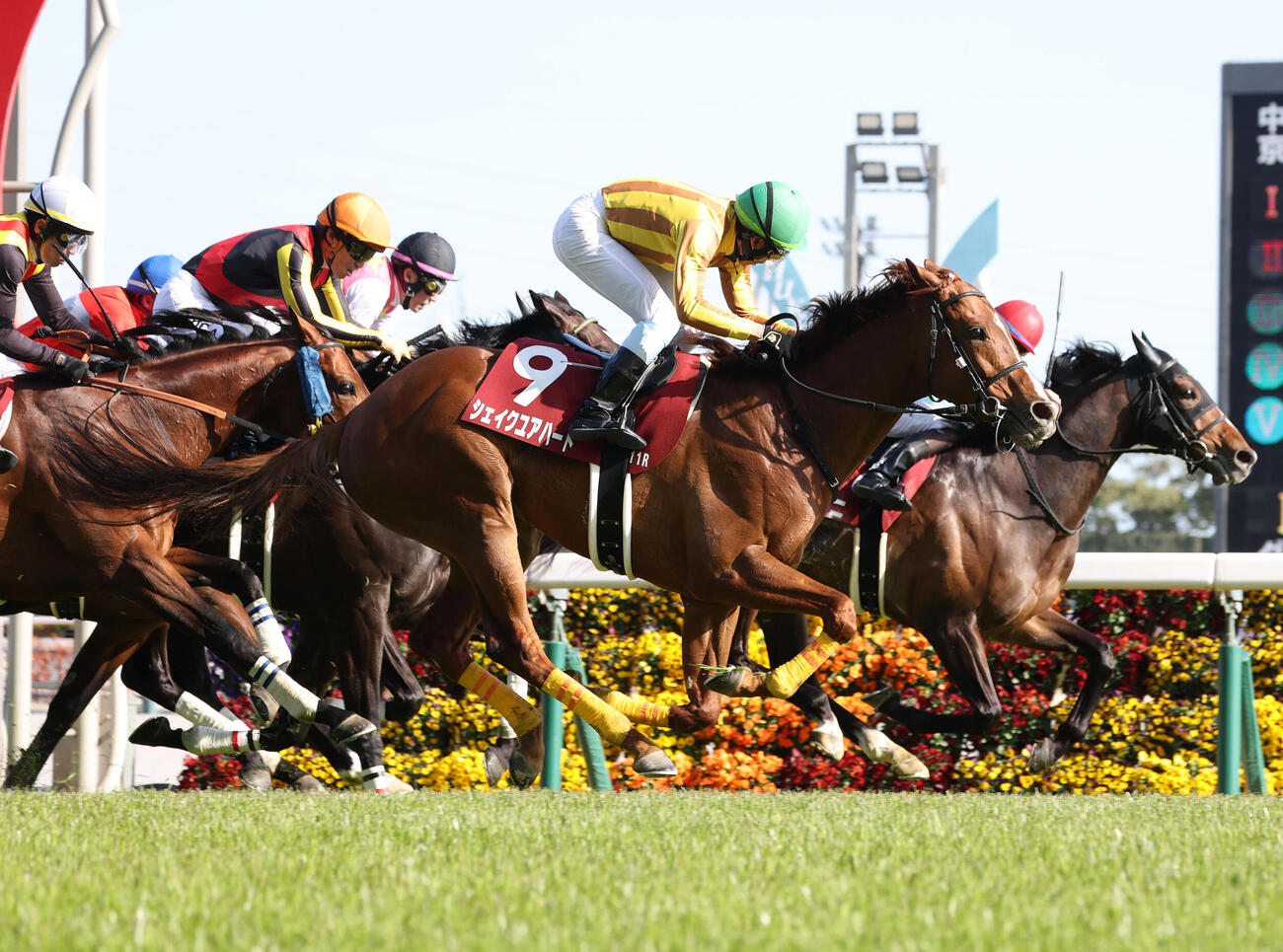 中京11R、ゴール前でジョバンニ（右）を差し切って金鯱賞を制したシェイクユアハート（撮影・白石智彦）