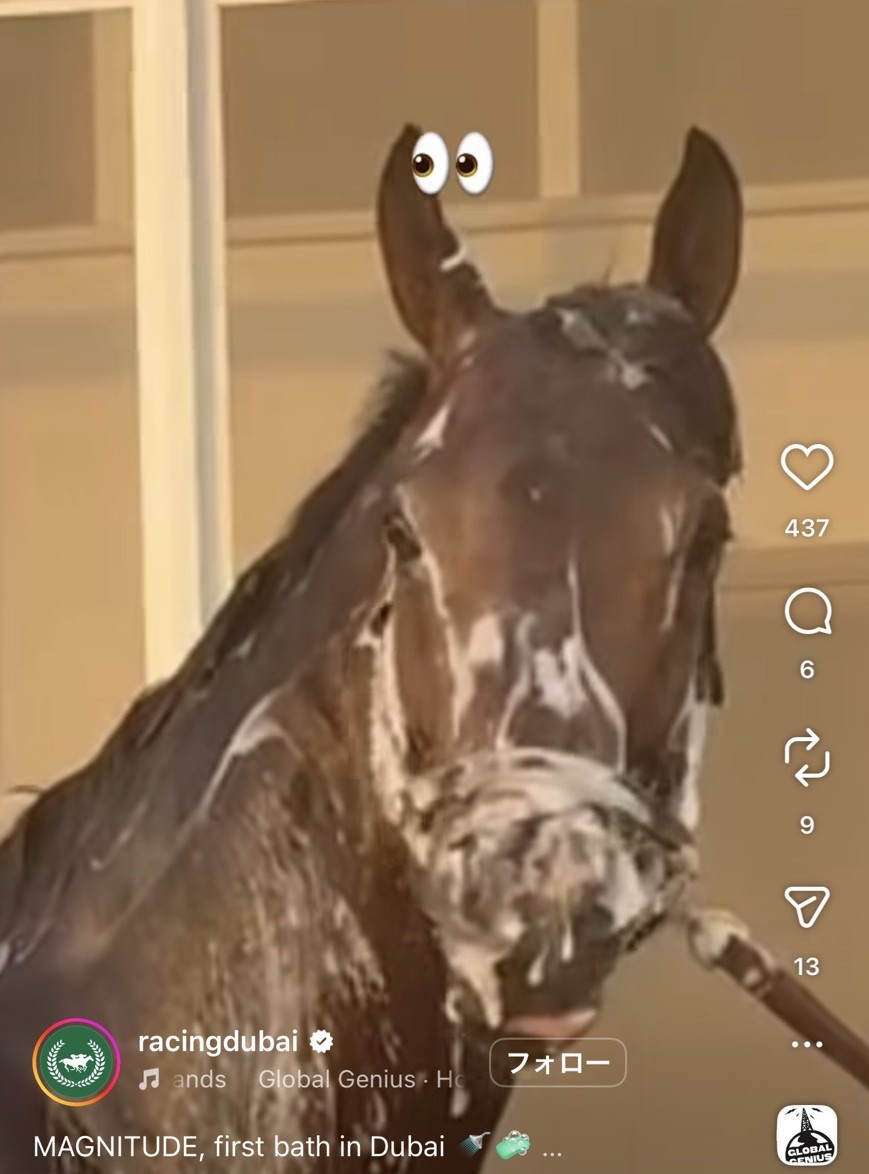 体を洗ってもらうマグニテュード（ドバイレーシングクラブの公式インスタグラムより）