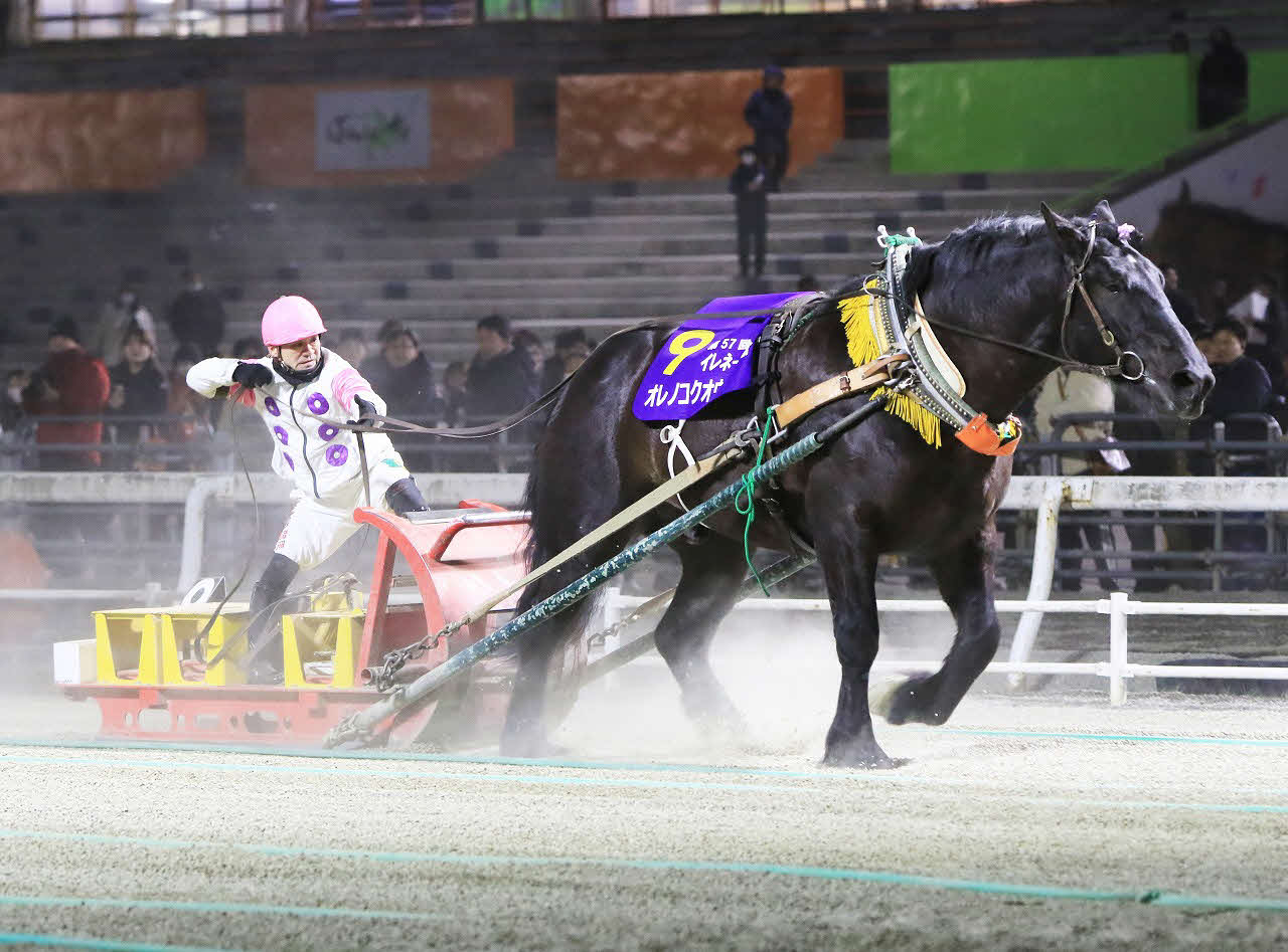 イレネー記念を制したオレノコクオウ（写真提供・ばんえい十勝）