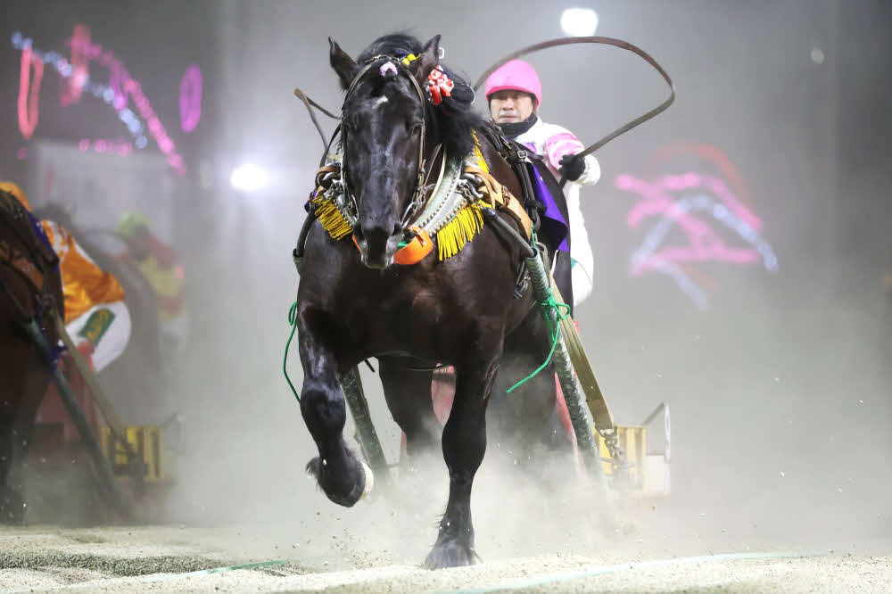 イレネー記念を制したオレノコクオウ（写真提供・ばんえい十勝）