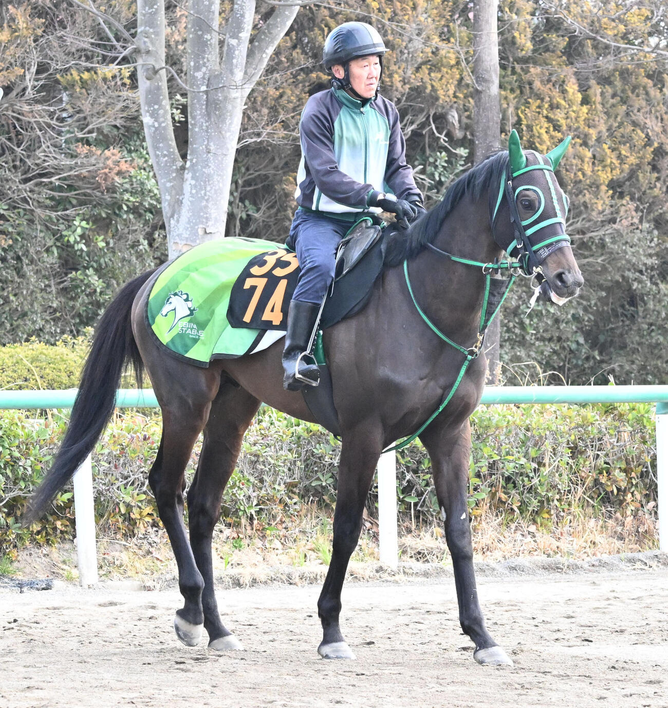 乗り運動するブラックハヤテ（撮影・千葉一成）