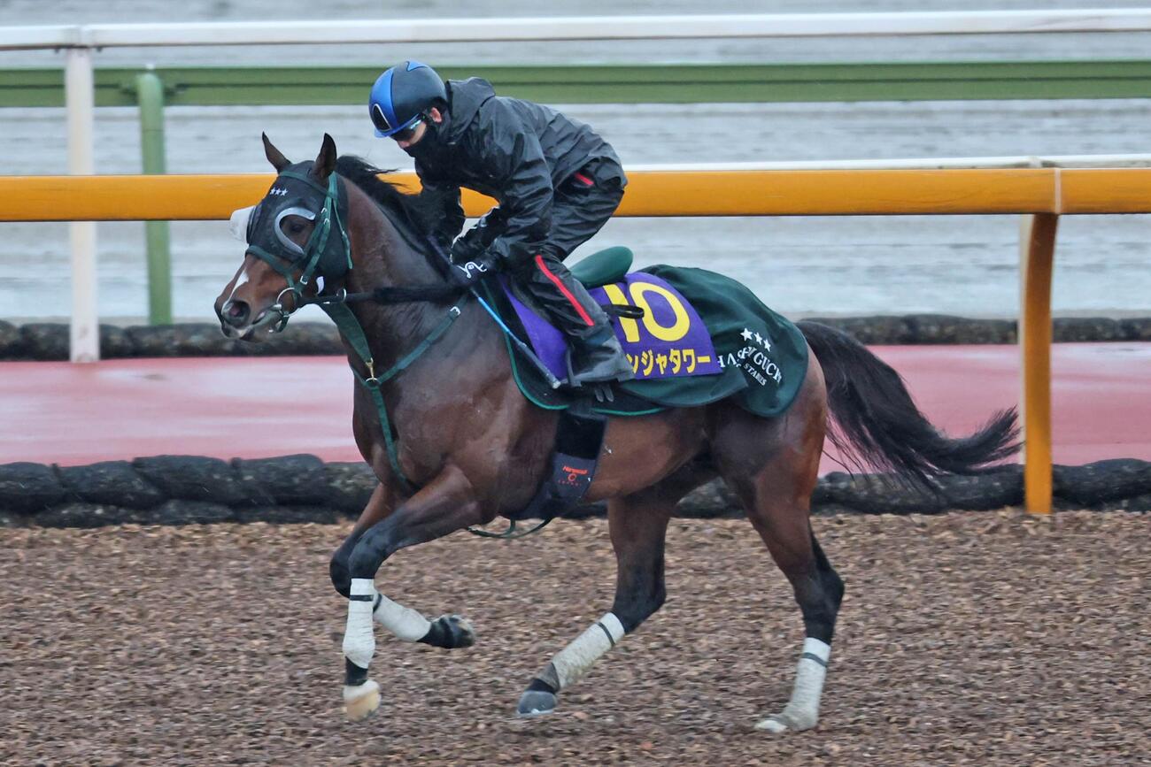 松山弘平騎手が騎乗し、馬場入りするパンジャタワー