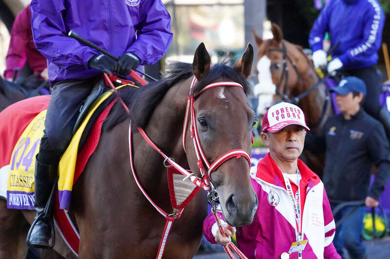 フォーエバーヤング（C）Shamela Hanley/Eclipse Sportswire/Breeders Cup
