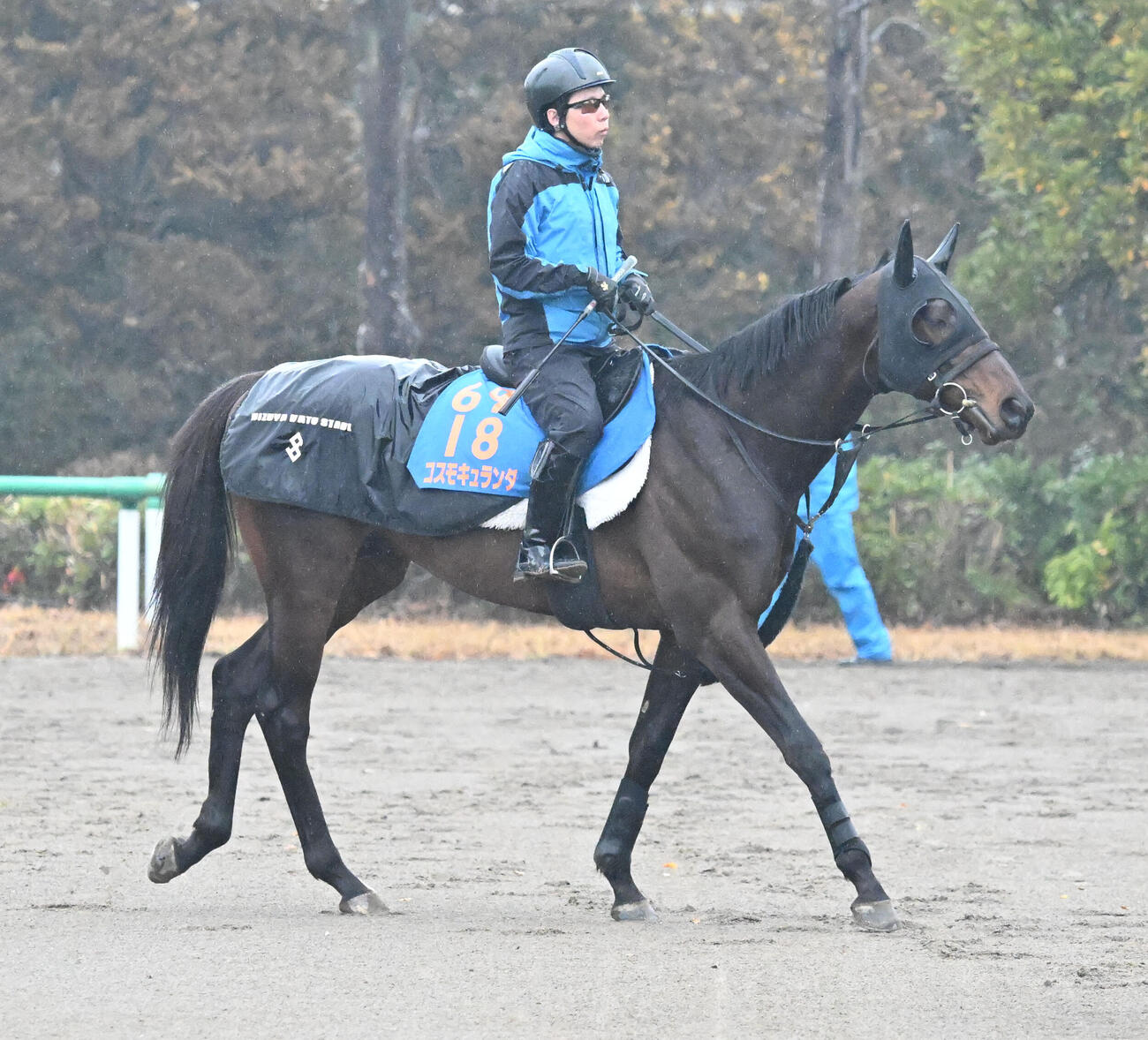 19日、乗り運動するコスモキュランダ