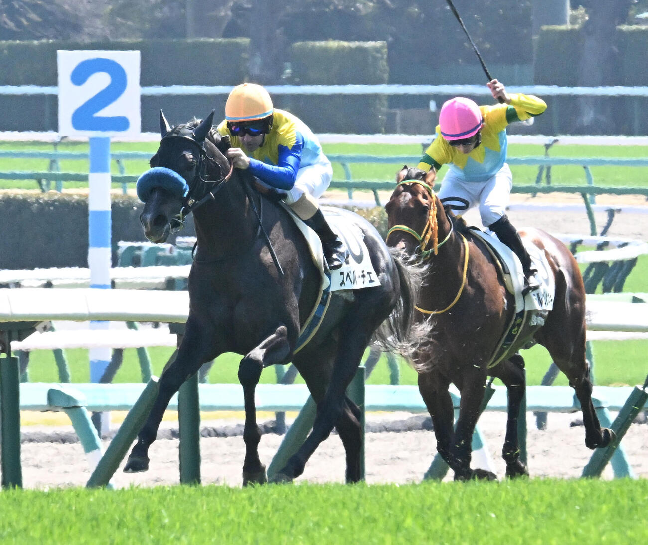 中山6R、3歳1勝クラスを制したスペルーチェとルメール騎手（左）（撮影・千葉一成）