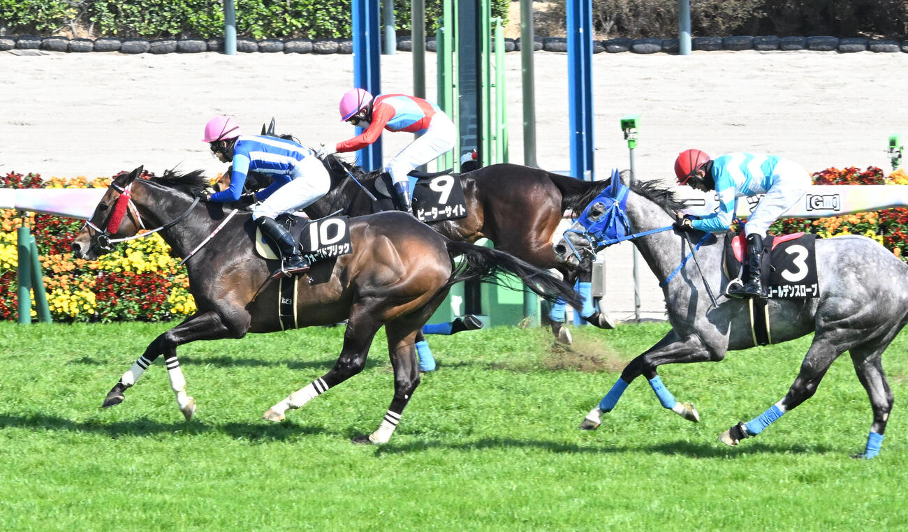 中山8R、ペガサスジャンプSを制したフォージドブリックと大江原騎手（左）。中央は2着のピーターサイト（撮影・千葉一成）