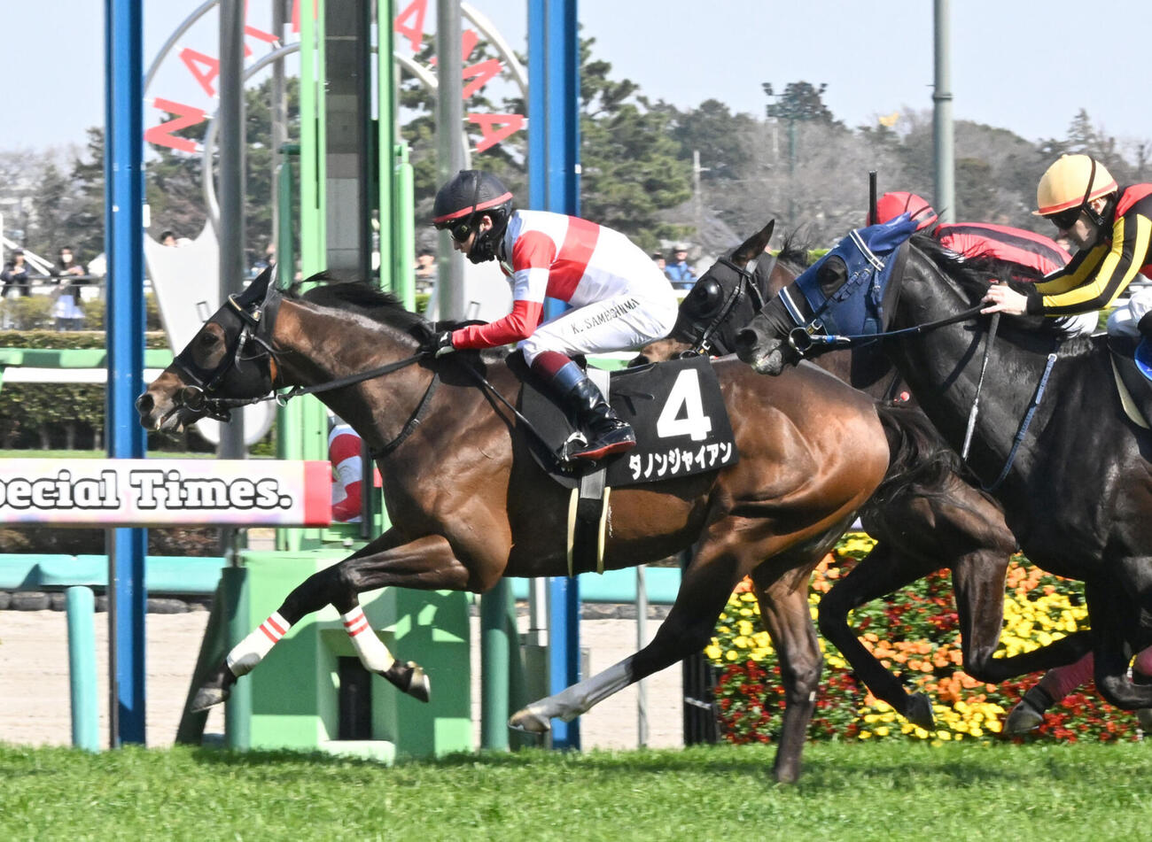 館山特別を制したダノンジャイアンと鮫島騎手（左）（撮影・千葉一成）