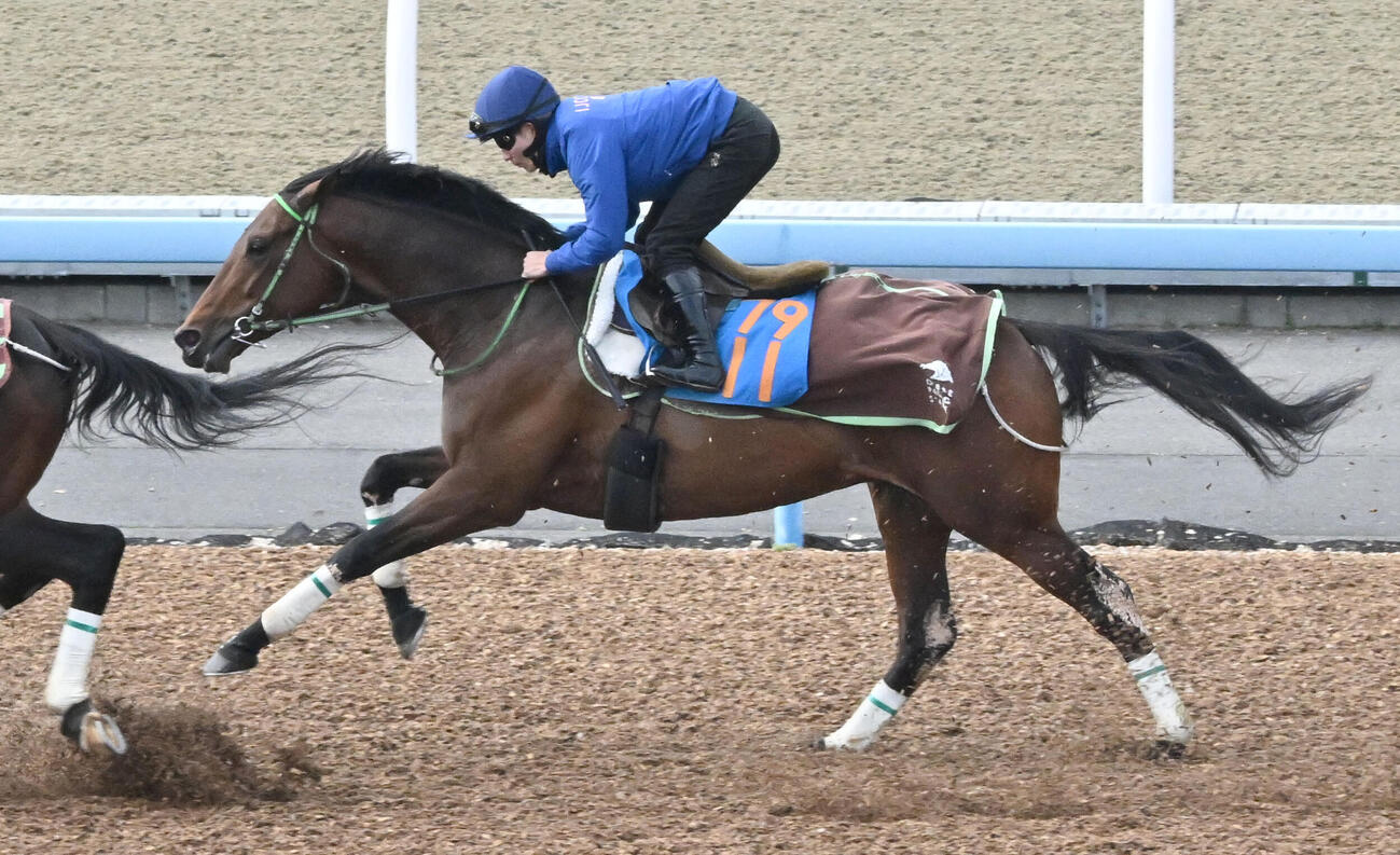 18日、美浦ウッドを2頭併せで追い切る佐々木騎手鞍上のレッドバンデ