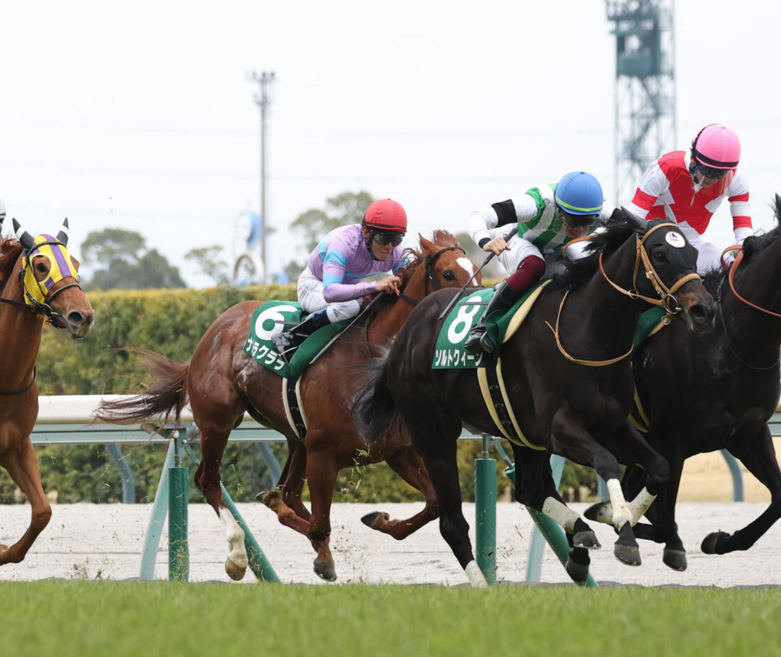 愛知杯8着に敗れたナムラクララ（中央）（撮影・白石智彦）