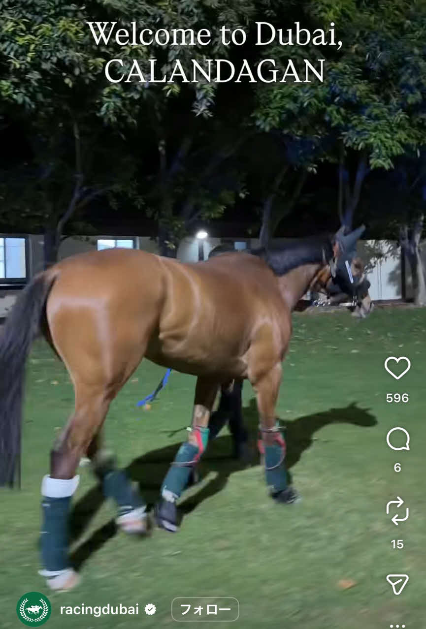 ドバイシーマC】最強馬カランダガン陣営はダノンデサイルに敗れた昨年