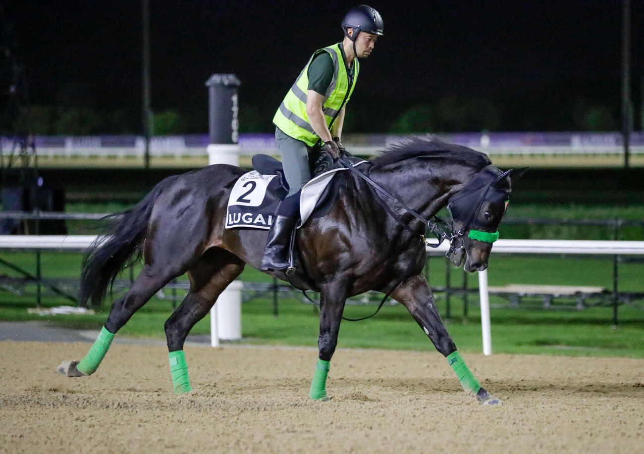 23日朝、メイダン競馬場で調整するルガル（C）Dubai Racing Club