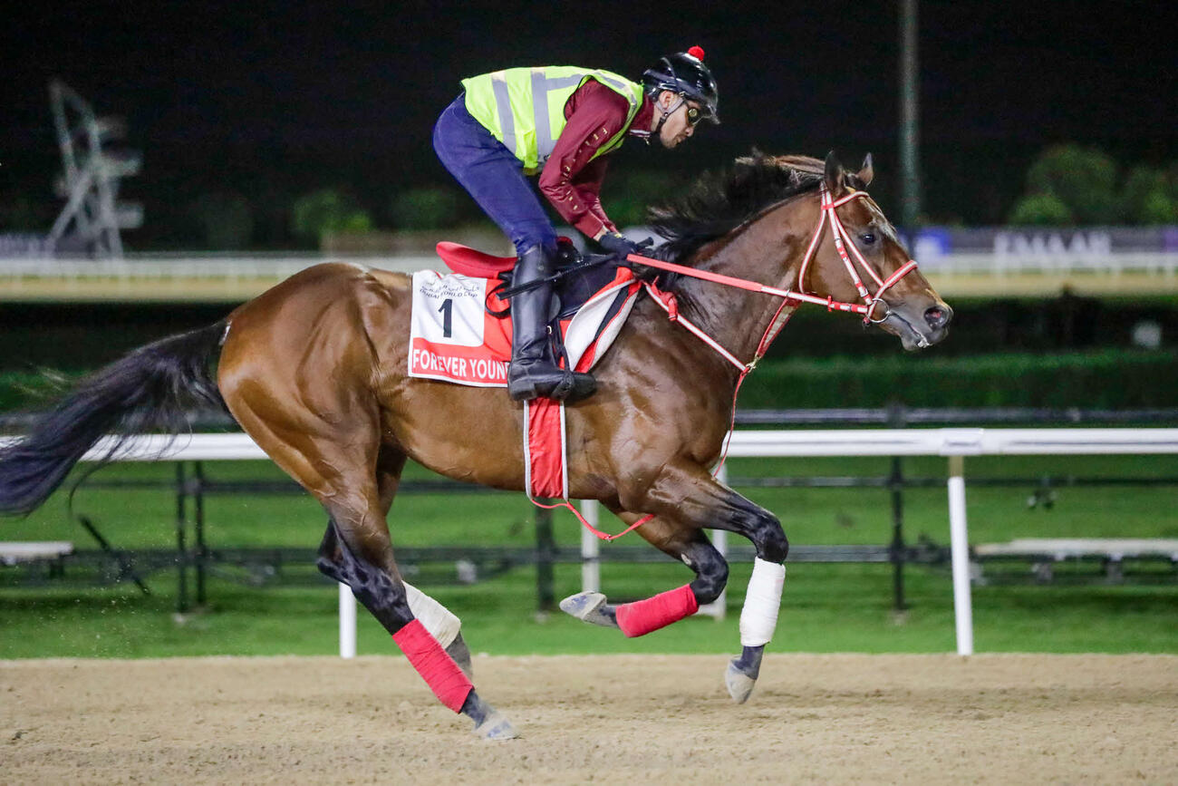 23日朝、メイダン競馬場で調整するフォーエバーヤング（C）Dubai Racing Club