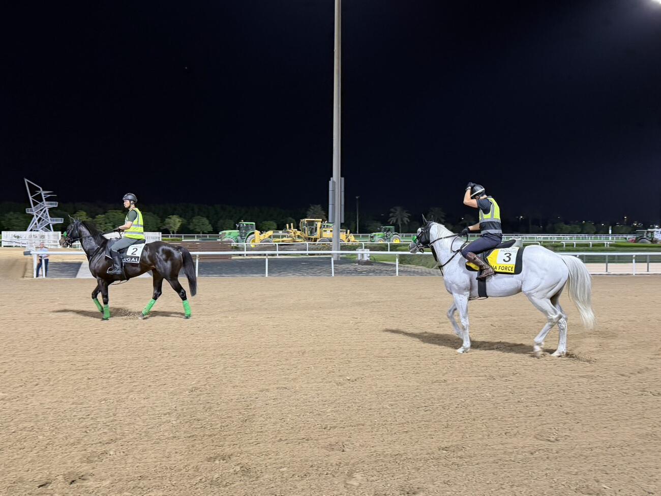 メイダン競馬場で調整するルガル（左）とガイアフォース（撮影・安藤裕）