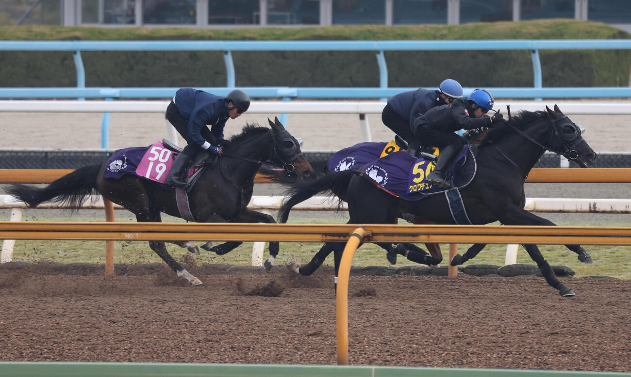 Cウッドを3頭併せで追い切るアランカール（左）と団野大成騎乗のクロワデュノール（右）（撮影・白石智彦）