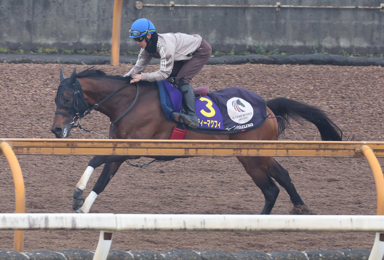 25日、Cウッドコースで追い切るエーティーマクフィ