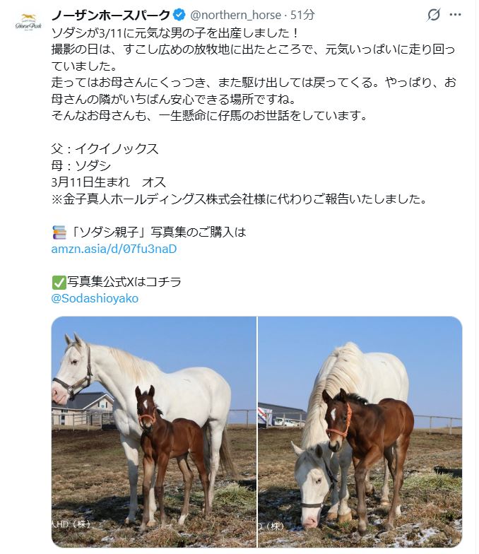 ノーザンホースパークのXから