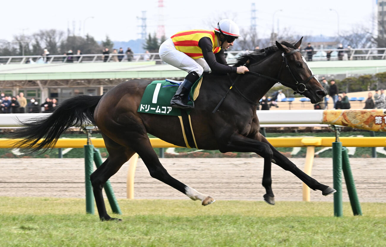 デイリー杯クイーンCを制したドリームコアとルメール騎手（2026年2月14日撮影）
