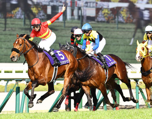 大阪杯を制したベラジオオペラと横山和生騎手(2025年4月6日撮影)
