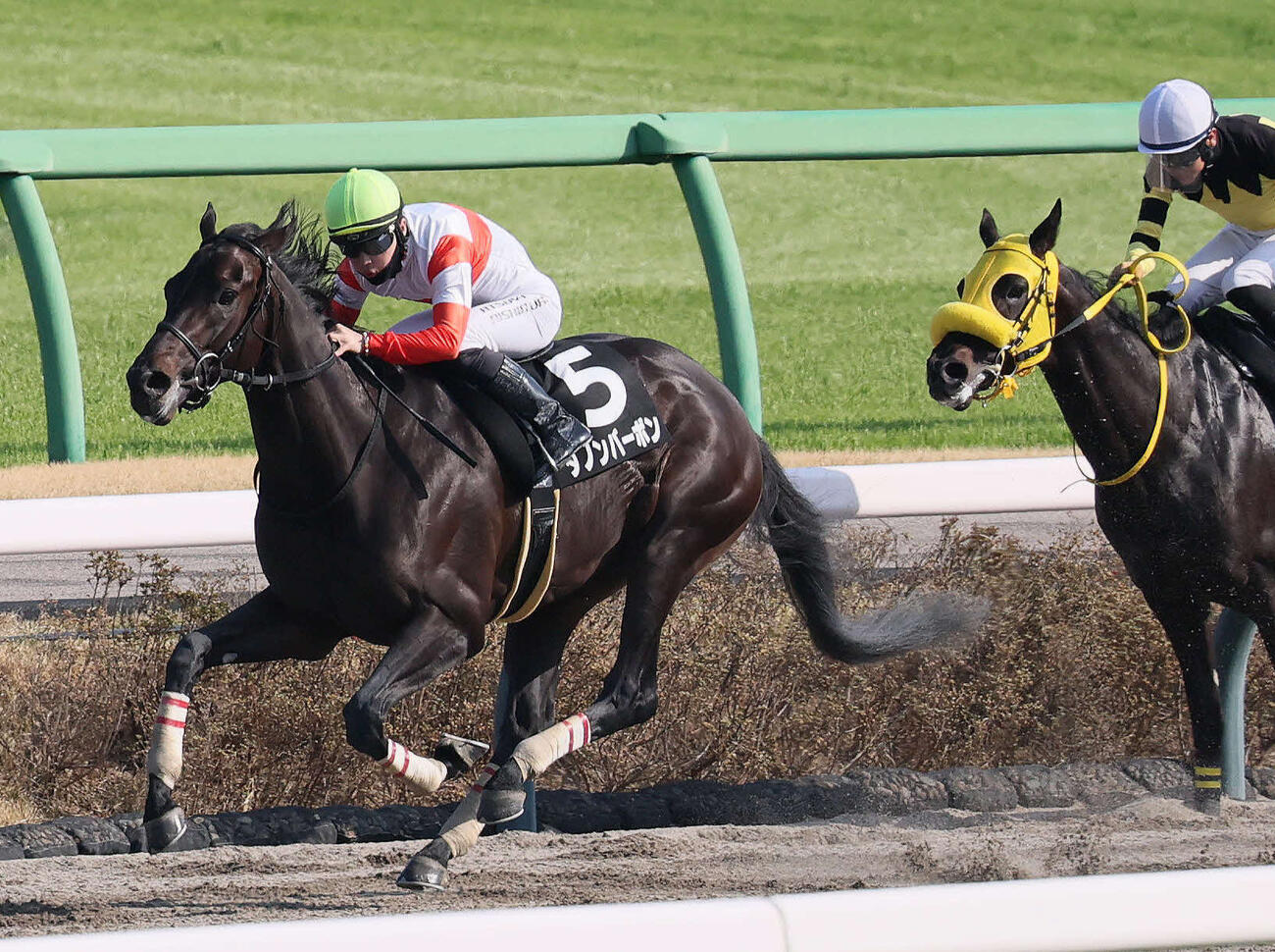 伏竜Sを制したダノンバーボンと西村淳騎手（撮影・丹羽敏通）