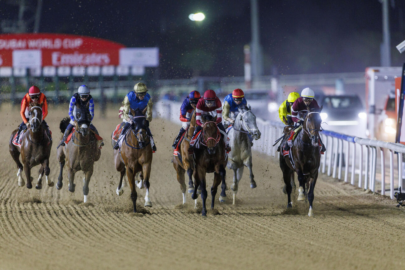ドバイワールドCを逃げ切ったマグニチュード（右）と2着に敗れたフォーエバーヤング（C）Dubai　Racing　Club