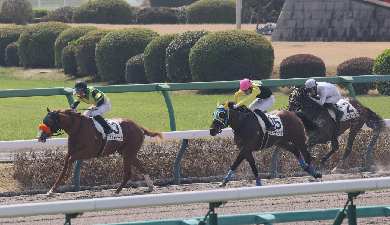 中山2R、3歳未勝利戦を制したガルディーノと石田騎手（左）（撮影・丹羽敏通）