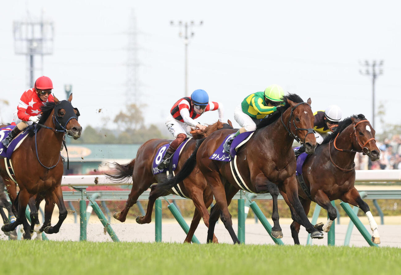 サトノレーヴ（右から2頭目）が制した高松宮記念（撮影・白石智彦）