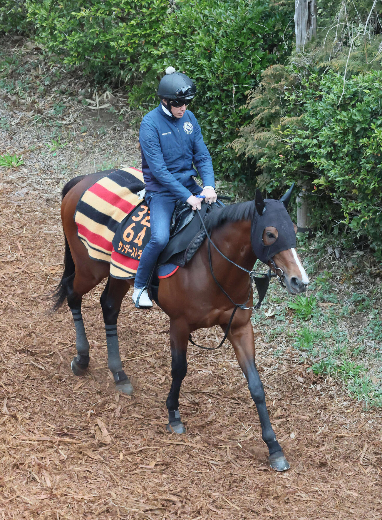 逍遥馬道で運動するサンダーストラック（2026年3月25日撮影）