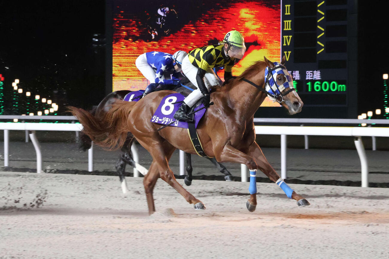 直線で差し切り京成盃グランドマイラーズを制したジョージテソーロと落合玄太騎手