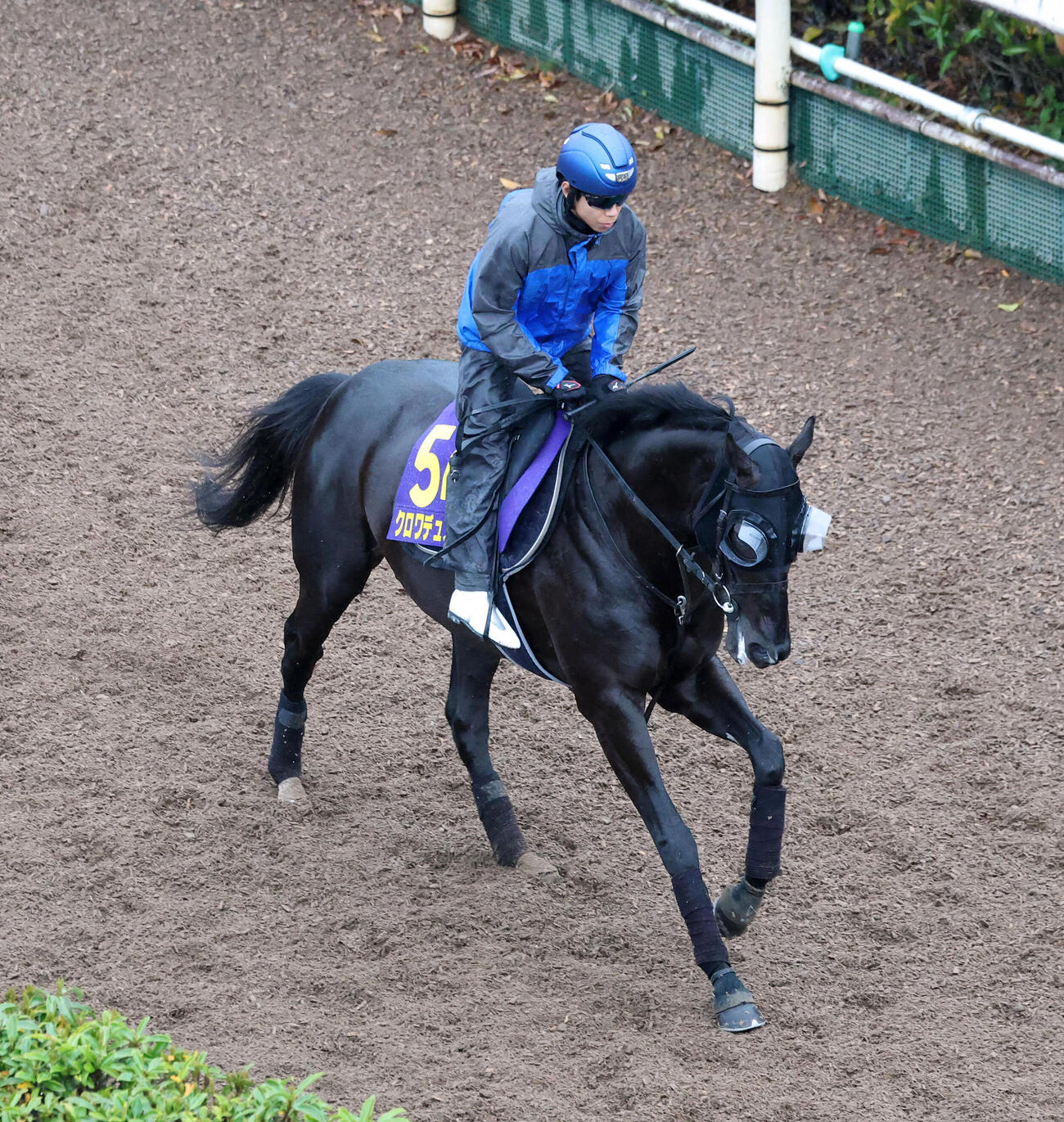 北村友騎手を背に坂路でキャンター調整するクロワデュノール（撮影・白石智彦）