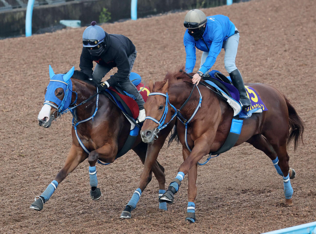 ビッグカレンルーフ（左）は松岡騎手を背に美浦ウッドでサンストックトンと併せて追い切られた（撮影・丹羽敏通）
