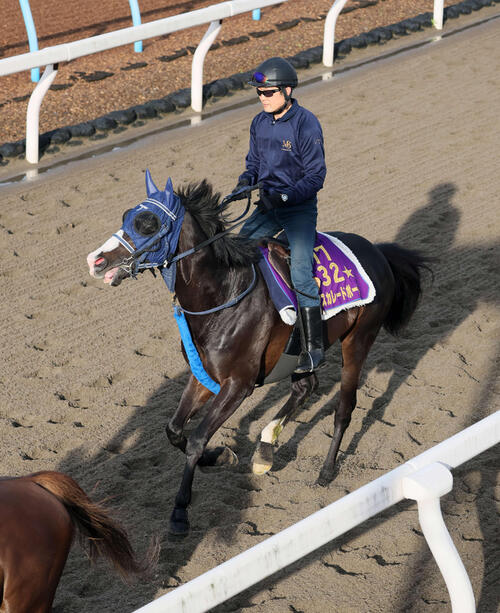 マスカレードボールが香港3週前で帰厩後初時計 ドバイ→大阪杯回避も