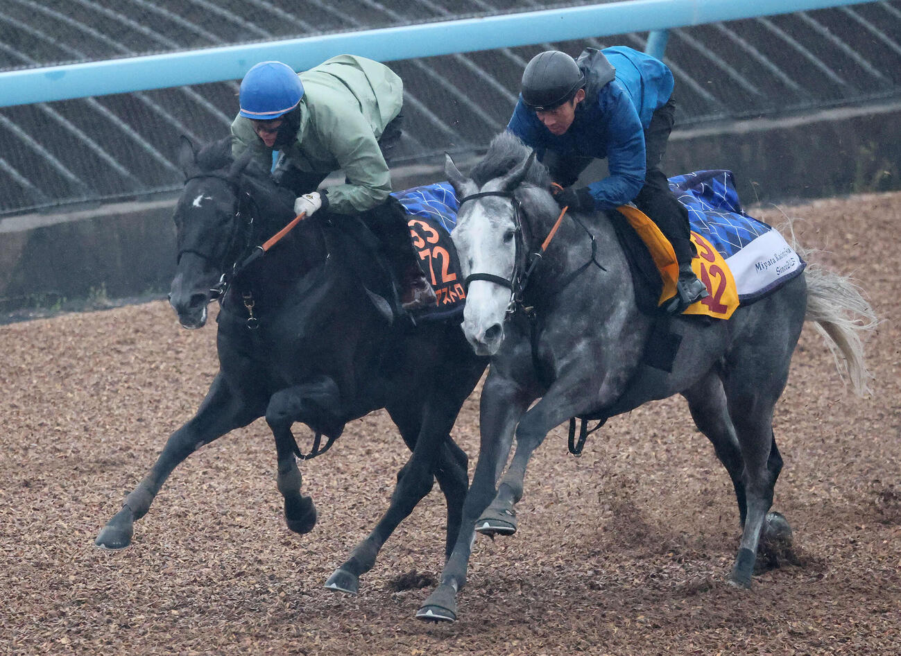 ゾロアストロ（左）は雨の美浦Wコースでロジシルバーと併せて追い切られた（撮影・丹羽敏通）